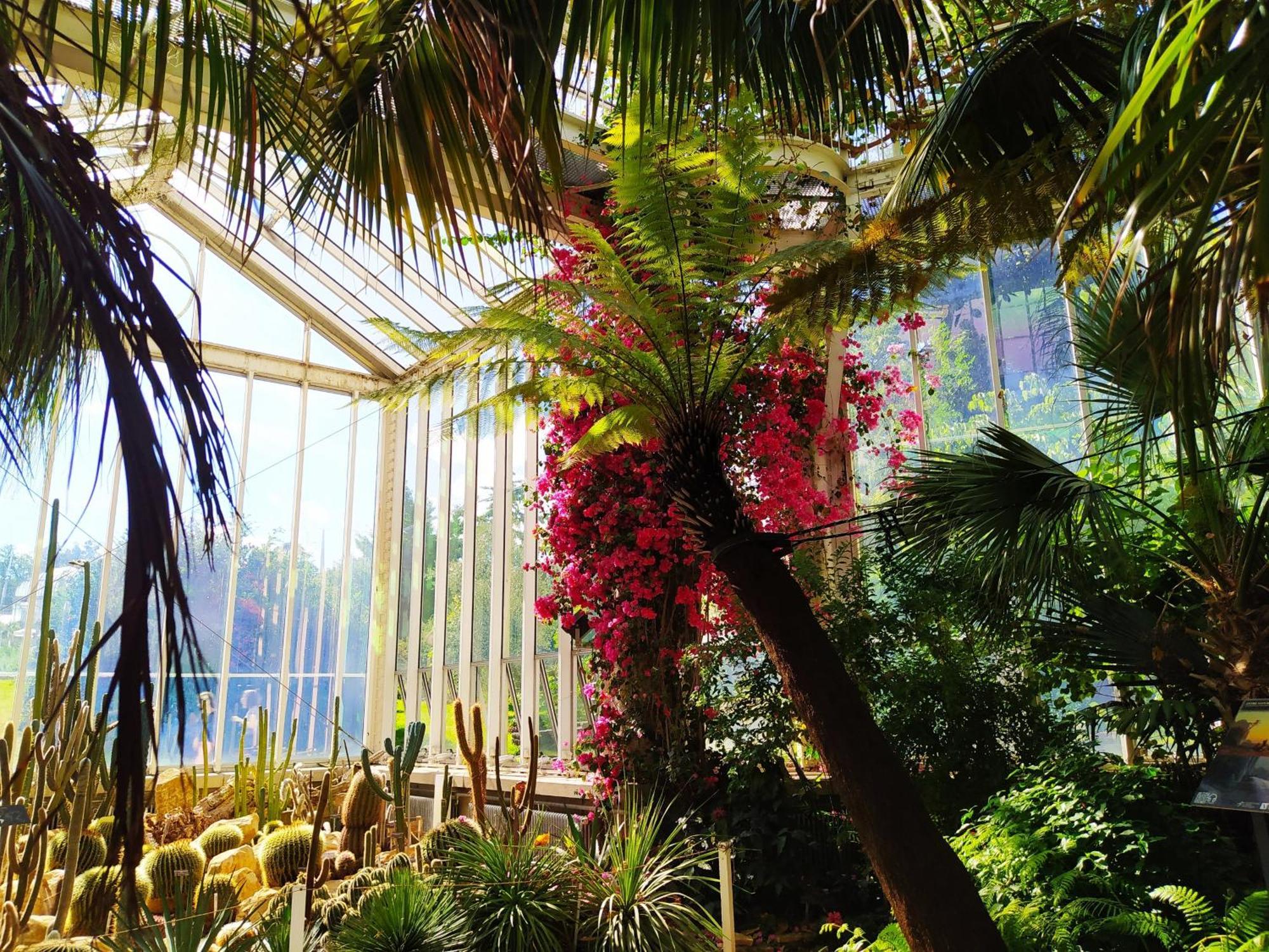 Drake Longchamp Hotel